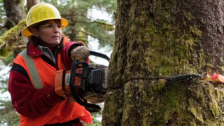 Canceled right off the bat? You betcha! case file #75: <i>Sarah Palin’s Alaska</i>